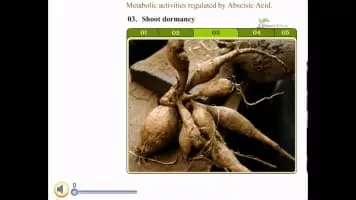 Abscisic acid - 