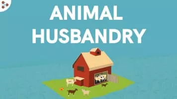 Animal Husbandry - 