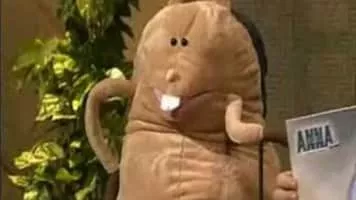 Anna Pihl - Journalist