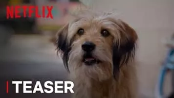 young hustle benji - Musical artist