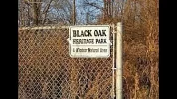 Black Oak Heritage Park - 