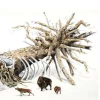 Brown Bird - Musical group