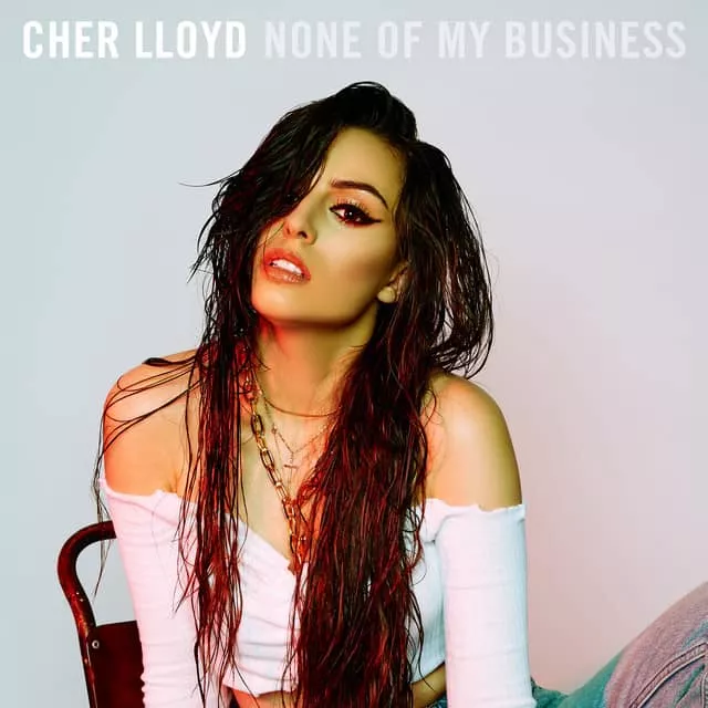 Cher Lloyd - Singer-songwriter