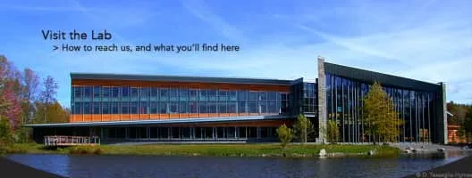 Cornell Lab of Ornithology - 