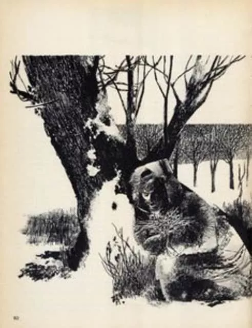 Dino Battaglia - Italian visual artist