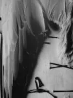 Eberhard Grames - Photographer