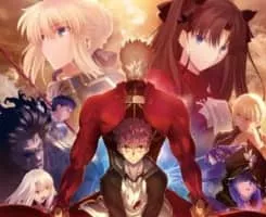 Fate - Video game series