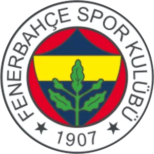 Fenerbahçe S. K. - Football club
