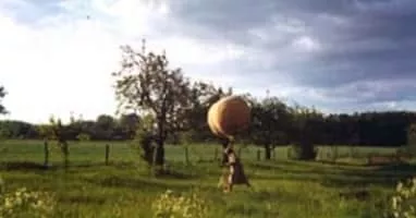 Gregor's Greatest Invention (Gregors größte Erfindung) - 2001 ‧ Short/Romance ‧ 11 mins