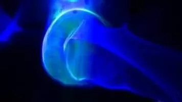 György Kurtág Jr. - György Kurtág's son