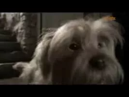 Higglety Pigglety Pop! or There Must Be More to Life - 2010 ‧ Short/Animation ‧ 25 mins