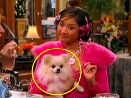 Ivana Tipton - Fictional character