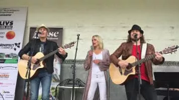 Lasse Sigfridsson - Songwriter