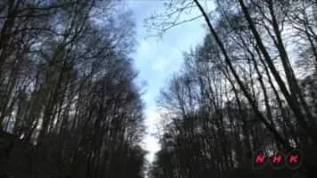 Pontcysyllte Aqueduct - 