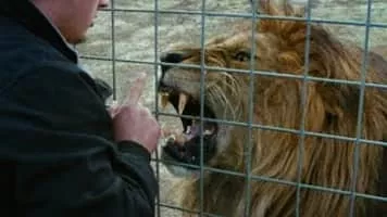 Rainer Frimmel - Austrian director