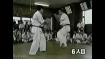 Shokei Matsui - South Korean martial artist
