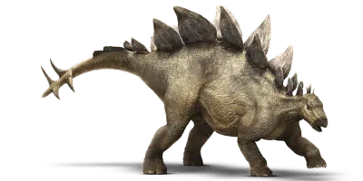 Stegosaurus - 