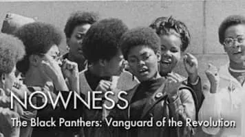 The Black Panthers: Vanguard of - 2015 ‧ Documentary ‧ 1h 55m