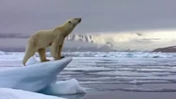 The Hunt - 2012 ‧ Drama ‧ 1h 55m