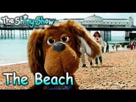 The Shiny Show - British television programme