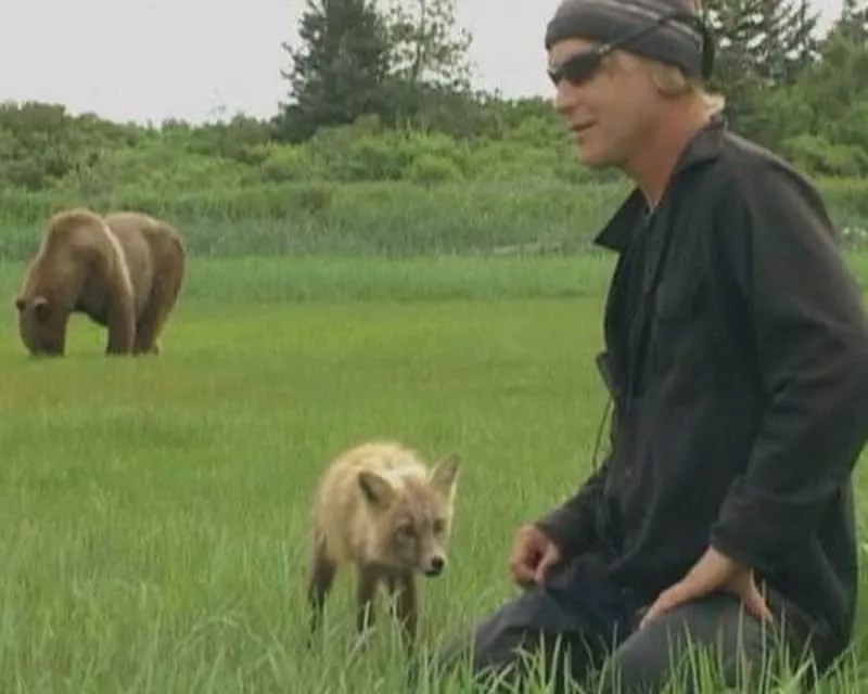 Timothy Treadwell - American environmentalist