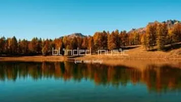 Twin Tacoma - Musical artist