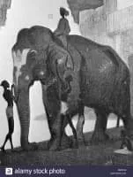 Vasily Vatagin - Visual artist