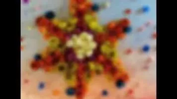 Vivienne Barry - Chilean director ‧ Amaya Forch's mother