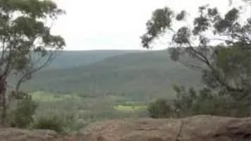 Watagans National Park - 