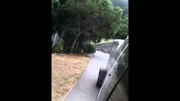 Blake Meahl - Musical artist