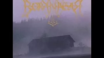 Borknagar - Band