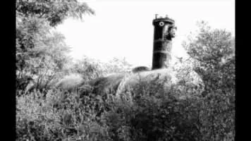 King Solomon Hill - Singer