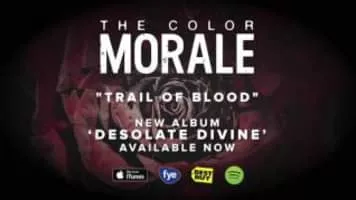 The Color Morale - 