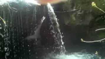 Ventana Wilderness - 