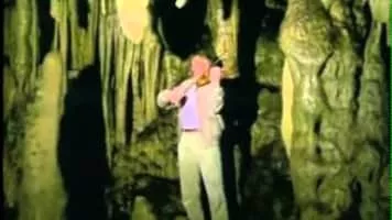 Arve Tellefsen - Norwegian Violinist