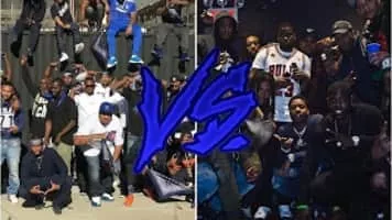 Black Disciples - Gang