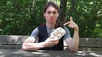 Clemens Arvay - Austrian writer