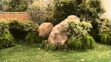 In Living Color - American comedy series