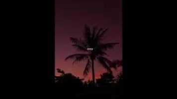 Ivory - American former professional wrestler