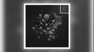 Jung an Tagen - Musical artist