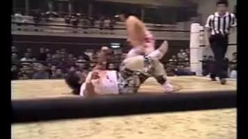 Mr. Pogo - Japanese professional wrestler