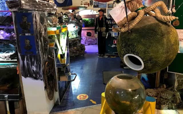 Otkrytyi Okean Centr Okeanografii Chastnoe KUL'Turno-Prosvetitel'Noe Uchrezhdenie Minsk - 