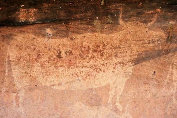 pinares de rodeno abrigo de los toros del prado del navazo - 