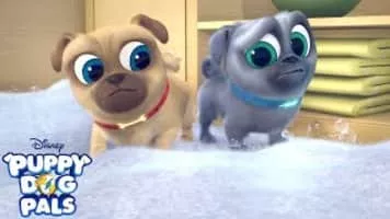 Puppy Dog Pals - American animated series
