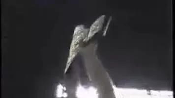 Road Warrior Hawk - American professional wrestler