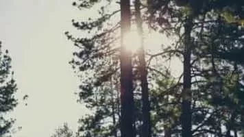 Silent Planet - Band