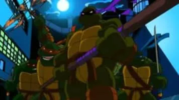 Teenage Mutant Ninja Turtles - Fictional universe