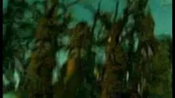 Tripping the Rift - 2004 ‧ Sci-fi ‧ 3 seasons