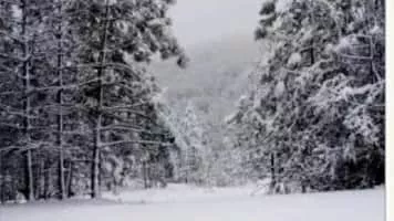 Ventana Wilderness - 