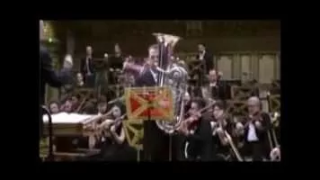 Walter Hilgers - German musician